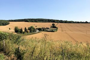 Location- click for photo gallery